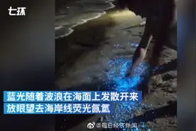 福建平潭岛出现蓝眼泪，目击者：就像星辰一样图片