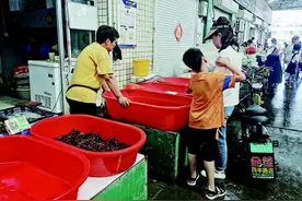 小龙虾销量已大幅减少，价格也明显上涨图片