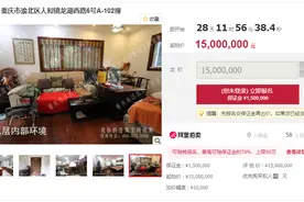 重庆三套千万级豪宅下月拍卖，今年重庆豪宅法拍最高成交2004万元图片
