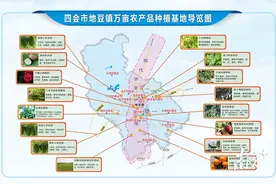 万亩现代农业带状分布，四会地豆这条县道瓜果飘香图片