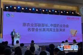 奶酪毛利率比房地产还高？新一轮价格战打响，乳企怎么破？图片