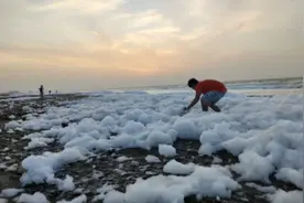 墨西哥海滩浮现大量白色泡沫：周围有化工厂 曾发生事故图片