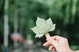 颜值超高！华中科技大学限定雪糕上线，网友：买它买它图片