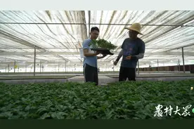 这个家庭农场年轻人太多，场主现在最愁的是给他们找对象图片