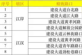 武汉这30个路口将变“精致”图片