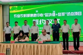 农业农村部：“区块链+韭菜”试点项目在山东潍坊启动实施图片