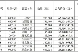 萧楠二季度大幅增持银行板块，招商银行入围易方达科顺重仓股，美的集团出局图片