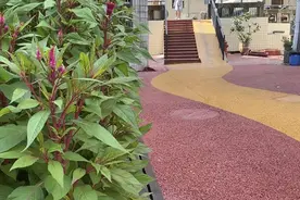文化“上墙”四川内江市市中区老旧小区改造有“颜”又有“涵”图片