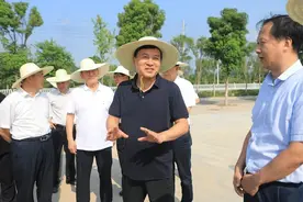 张永调研废弃采石场生态修复工作图片