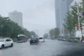 哈市这些航班、车次，停飞！停运图片