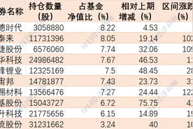 农银汇理赵诣二季度高仓位坚守新能源，新能源主题前十重仓股均获加仓，其它三只新重仓璞泰来、闻泰科技图片
