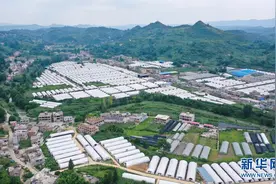 “七一”重要讲话精神在基层丨顺口溜里话真情 热词地标开新篇——乌蒙山区新征程上的走读图片