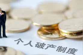 深圳首例个人破产重整案指定破产管理人主办律师：破产人不是躺平不用还钱了，仍然需要勤奋努力地去还钱图片
