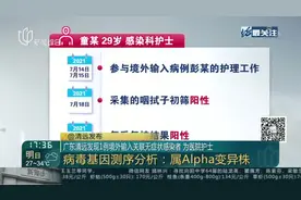 广东清远发现1例境外输入关联无症状感染者 为医院护士 病毒基因测序分析：属AIpha变异株视频封面