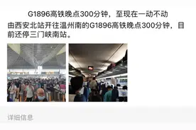 “高铁停在三门峡南站好几个小时一动不动”，因郑州地区强降雨，多趟列车受影响图片