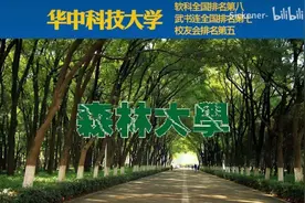 “野猪小蛇随你撸”，华中科大学生自制“土味招生广告”走红图片