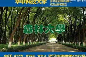 “野猪小蛇随你撸”，华中科大学生自制“土味招生广告”走红图片