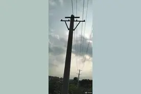 痛心！呼兰区一村民被脱落低压电线电击身亡图片