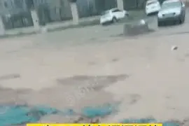 风雨中，他们舍命救人，河南挺住图片
