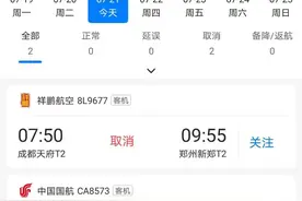 注意！四川多地飞郑州、南京航班有变图片