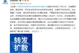注意！郑州东站及郑州车站所有列车停运 恢复时间未知图片