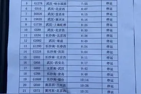 名单来了！武汉站134趟列车停运和折返，具体是这些图片