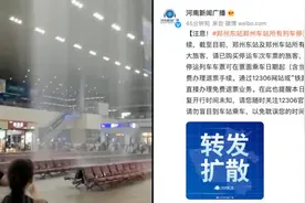 郑州东站及郑州站所有列车停运，恢复时间未知视频封面