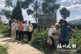 福建名茶铁观音基因密码破解了图片