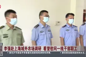 李强赴上海域外农场调研  看望慰问一线干部职工视频封面