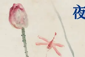 夜读 | 人生就是一场连着一场的相遇图片