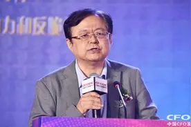 魏加宁：保持经济高速增长 鼓励民企投资图片