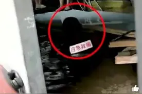 山东小哥肩扛木板让群众踩过图片