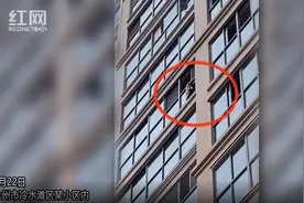 视频丨永州：四岁女孩被困11楼窗台外 消防指战员紧急救援图片