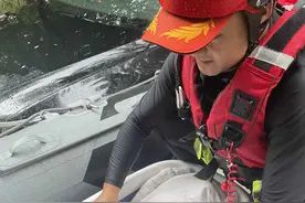 在河南救出6000多人的上海救援队今天回家，临走前他们深情地说图片