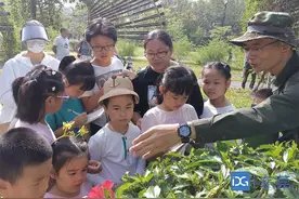 快乐暑假 发现东莞④|森观察：一次深度自然观察，听植物述说生命故事图片