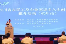 “雁归天府，共创未来”，四川上半年新增6.6万农民工返乡入乡创业图片