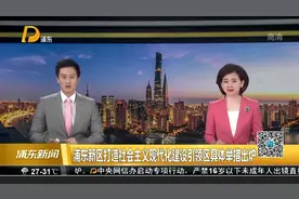 浦东新区打造社会主义现代化建设引领区具体举措出炉视频封面