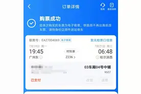 Z236先停郑州再停新乡滞留河南超2天，沈阳铁路：将折返图片