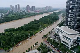 张伯礼院士：河南雨灾后需防大疫，这些传染病要格外注意图片