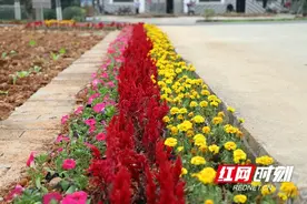 赫山这五年③｜4万3千余人告别贫困 小康的盼头终于成真图片