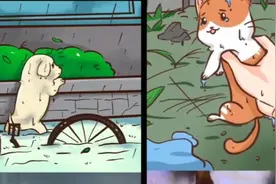 网友手绘暴雨中猫狗被救瞬间：困难都会过去的，内心要有希望视频封面