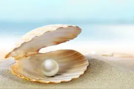 珍珠 像眼泪一样珍贵的水中精灵图片