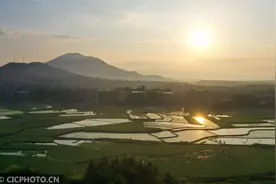 暑热时节 雾气蒸腾图片
