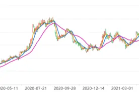 两月暴跌25%，安琪酵母还能坚守？图片