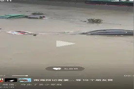 致敬“伸手的力量”|“超级英雄”杨俊魁：退役特种兵连救五人图片