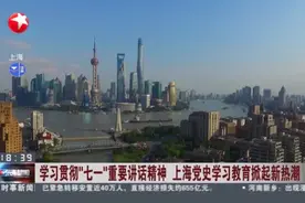 学习贯彻“七一”重要讲话精神  上海党史学习教育掀起新热潮视频封面