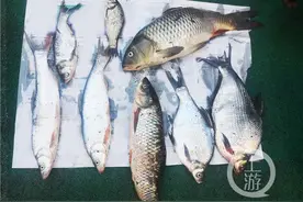 深夜河边在发光 有人在非法捕捞图片