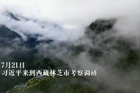 情系雪域高原图片