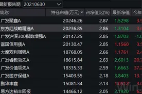 专业买手也追星！这些基金被FOF基金经理狂买（附名单）图片