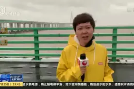 杭州湾跨海大桥今天中午封闭  桥面风力达到十级视频封面